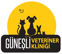 Gneli Veteriner Klinii